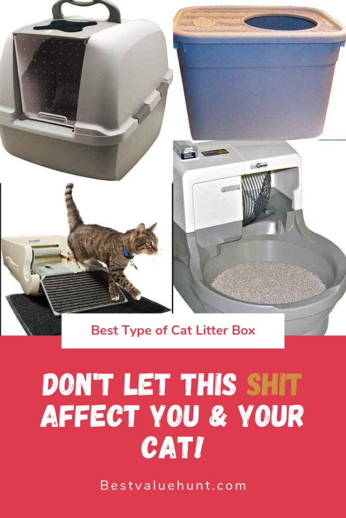Best Cat Litter Box Reviews [ Automatic, Top Entry, Covered ]