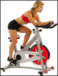 Sunny Health & Fitness Pro Indoor Cycling Bike with 40 LB Flywheel